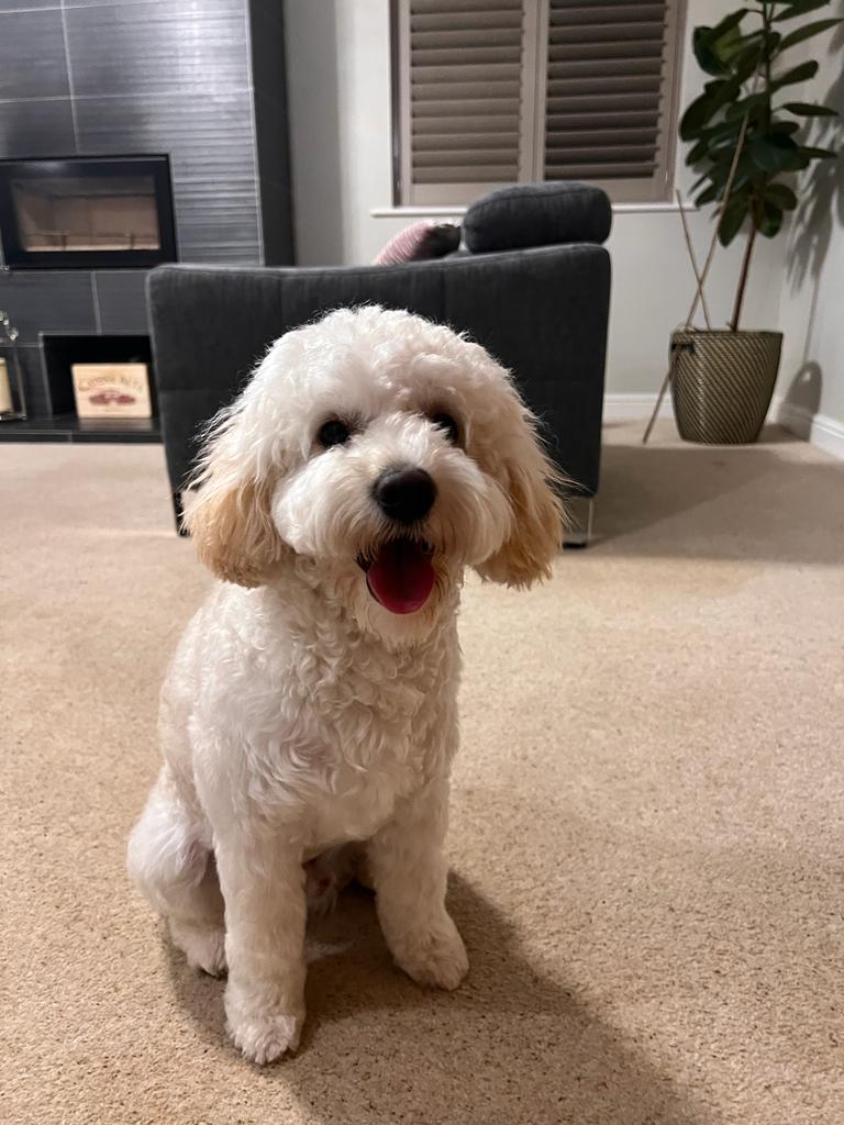 baxter020722's Avatar